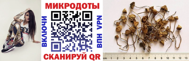 Псилоцибиновые грибы прущие грибы Апатиты