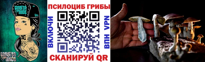 Псилоцибиновые грибы прущие грибы  mega как зайти  Апатиты  купить  сайты 